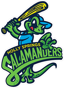 Away Team Logo